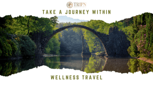 5 benefits of wellness journey