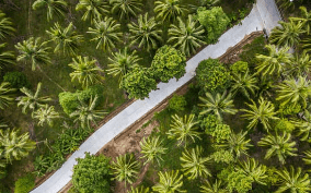 Koh Phangan