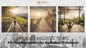 Revitalize and Recharge Wellness Travel for Modern Professionals